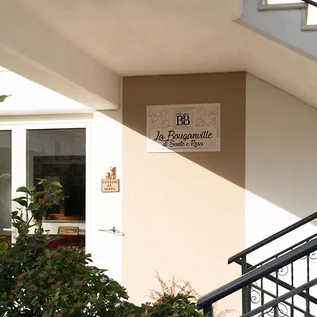 La Bouganville Di Sante E Rosa * Manoppello