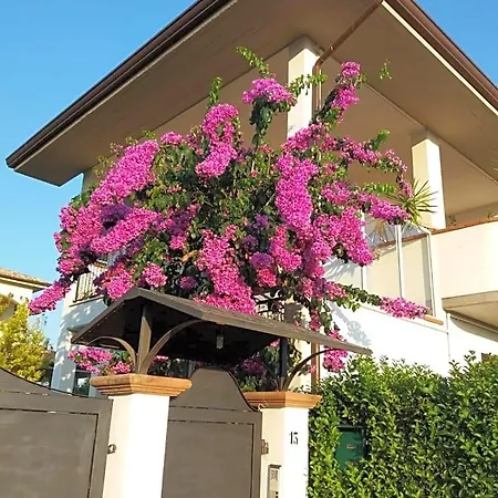La Bouganville Di Sante E Rosa 3*