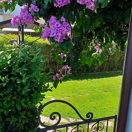 Bed & Breakfast La Bouganville Di Sante E Rosa Manoppello